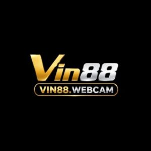 Profile photo of Vin88