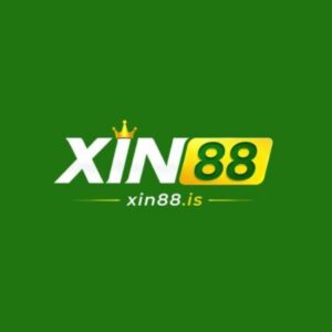Profile photo of XIN88