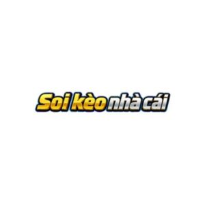 Profile photo of CEO Phạm