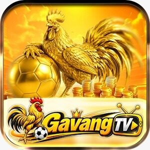 Profile photo of GAVANGTV