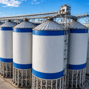Profile photo of Grain