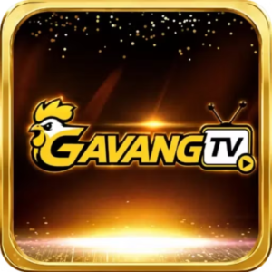 Profile photo of Gavangtvs1
