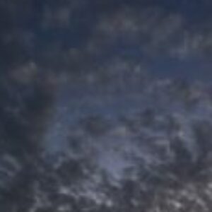 Profile photo of M