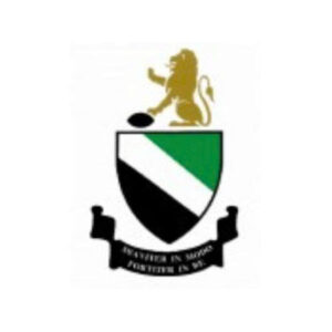 Profile photo of 7M Hayle Rugby FC