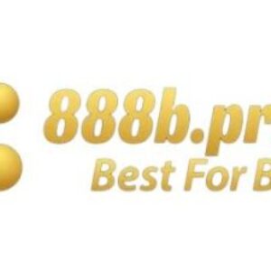 Profile photo of 888B