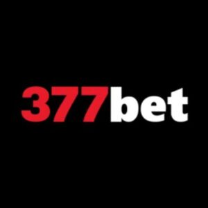 Profile photo of 6377bet