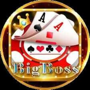 Profile photo of Bigbossigcom