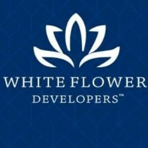 Profile photo of White Flower