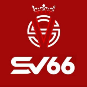 Profile photo of sv66network