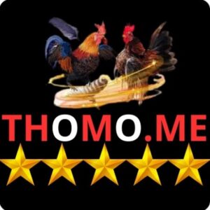 Profile photo of thomome