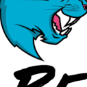 Profile photo of MrBeast